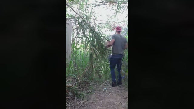 Synbaherrera  25-10-2022